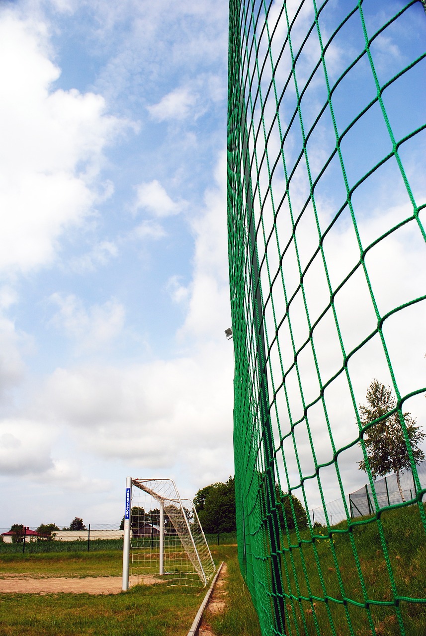 阿莱尼亚：佩德里对巴萨来说不可或缺；热刺曾经想签下我